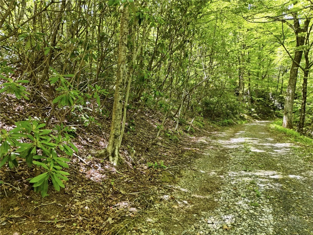 Image number 4 for the current listing
