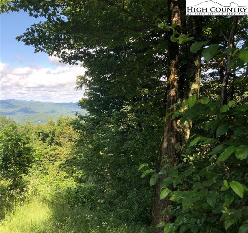 Image number 1 for the current listing