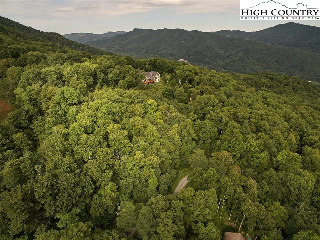 Image number 14 for the current listing
