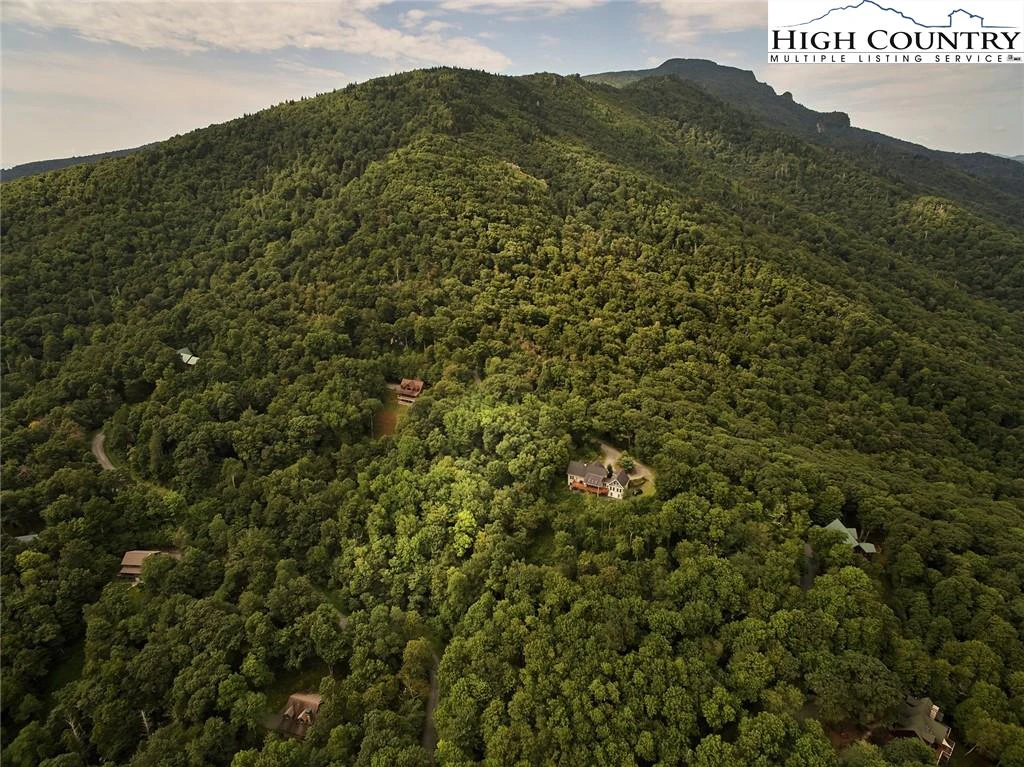 Image number 7 for the current listing
