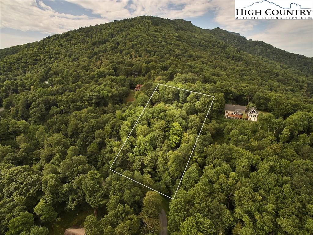 Image number 5 for the current listing