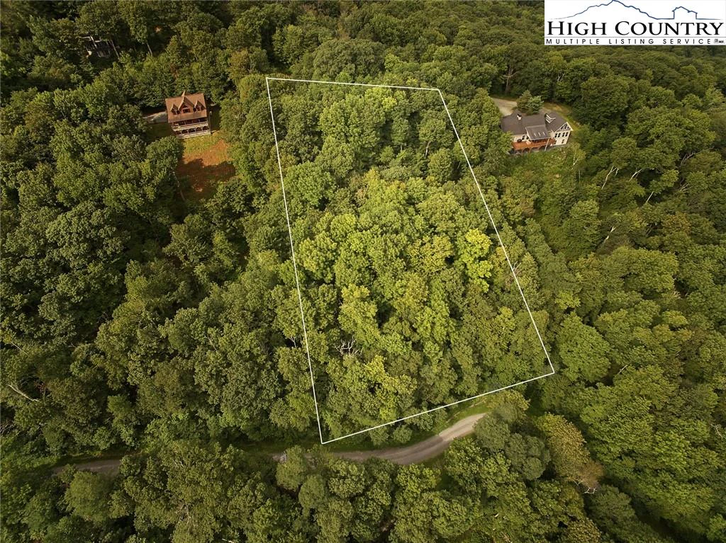 Image number 4 for the current listing