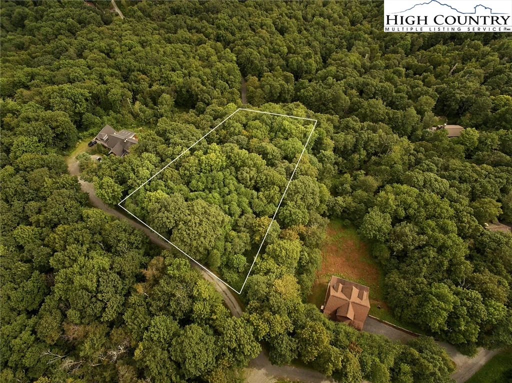 Image number 3 for the current listing