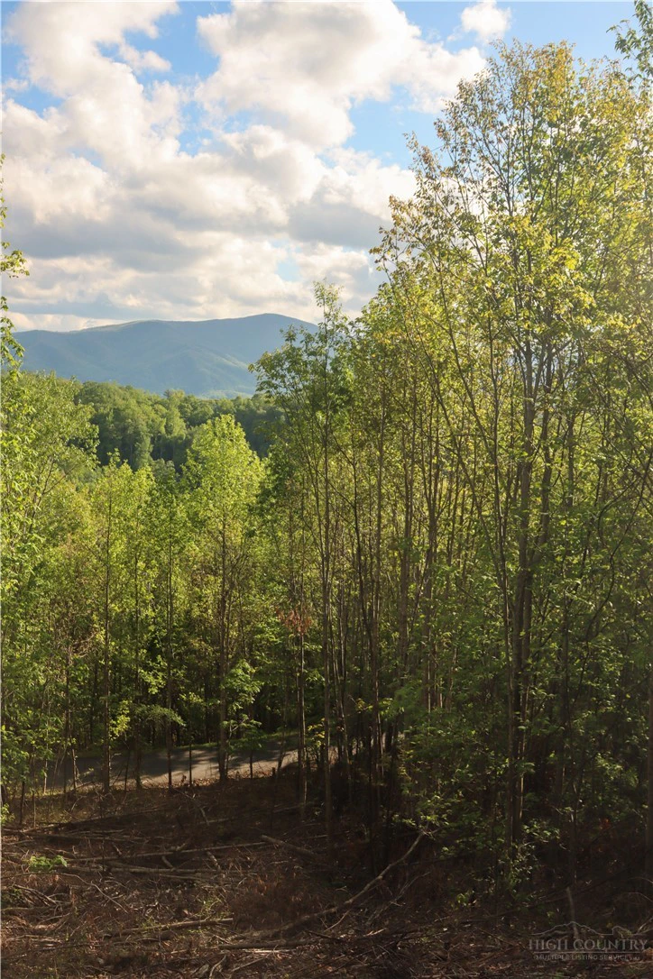 Image number 1 for the current listing