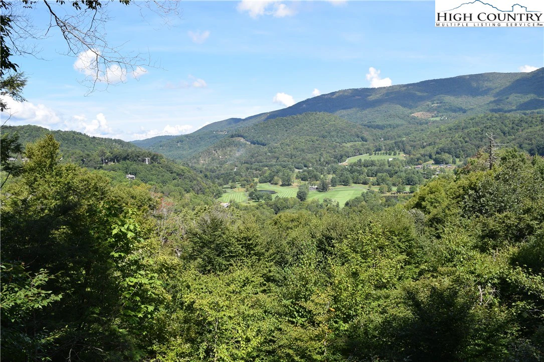 Image number 1 for the current listing