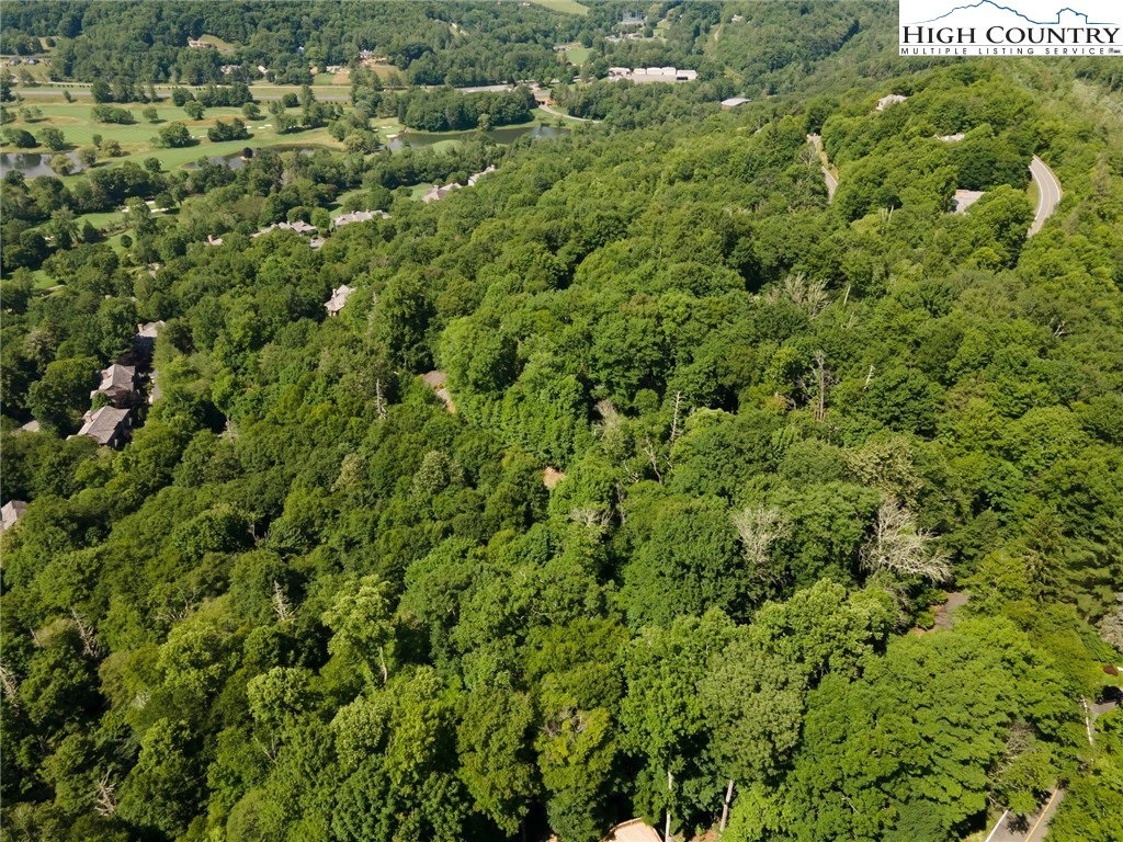 Image number 11 for the current listing
