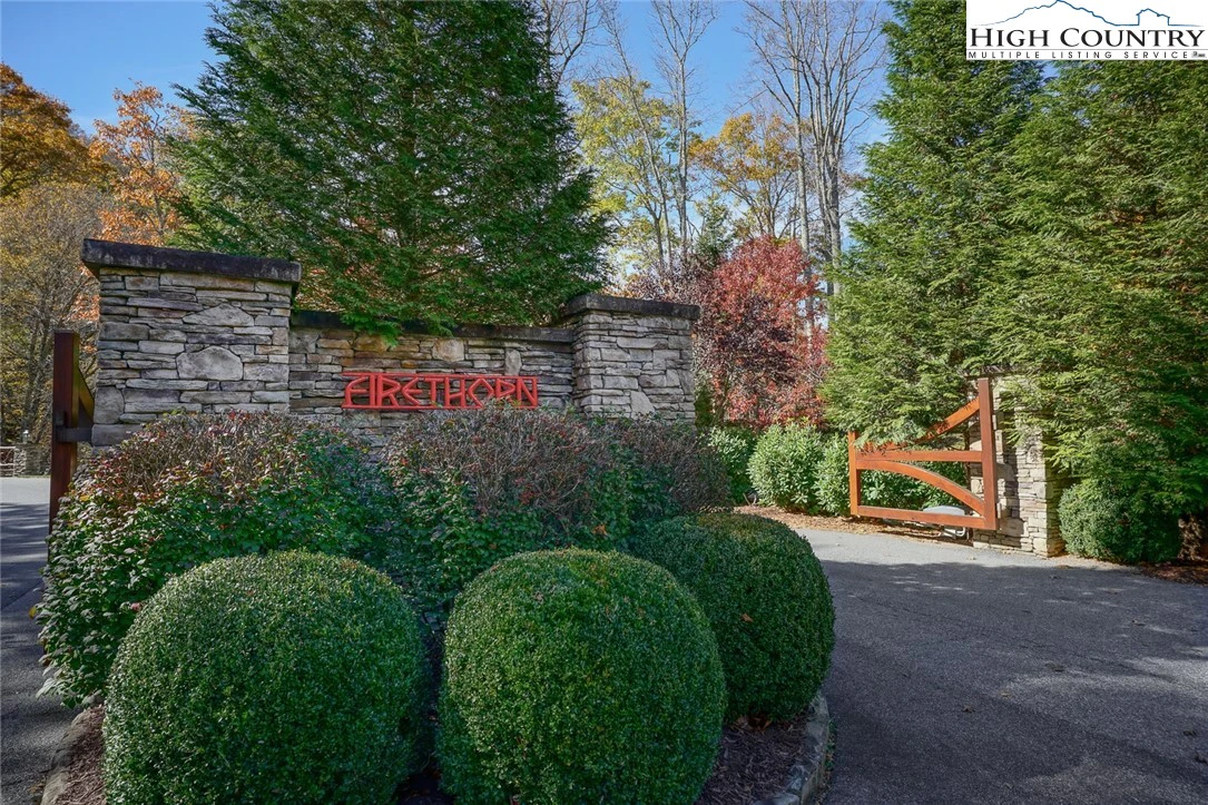 Image number 1 for the current listing