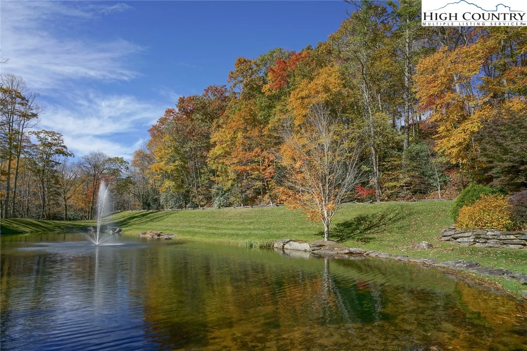 Image number 4 for the current listing