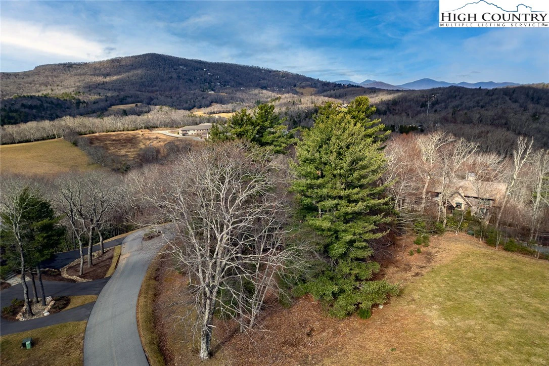 Image number 11 for the current listing