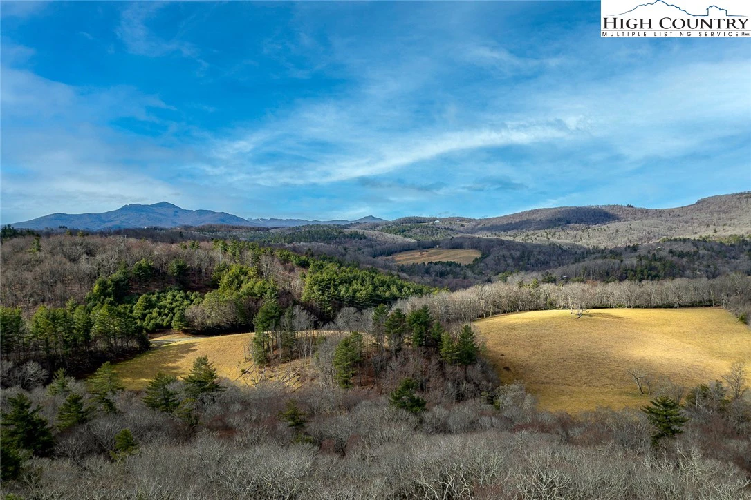 Image number 12 for the current listing
