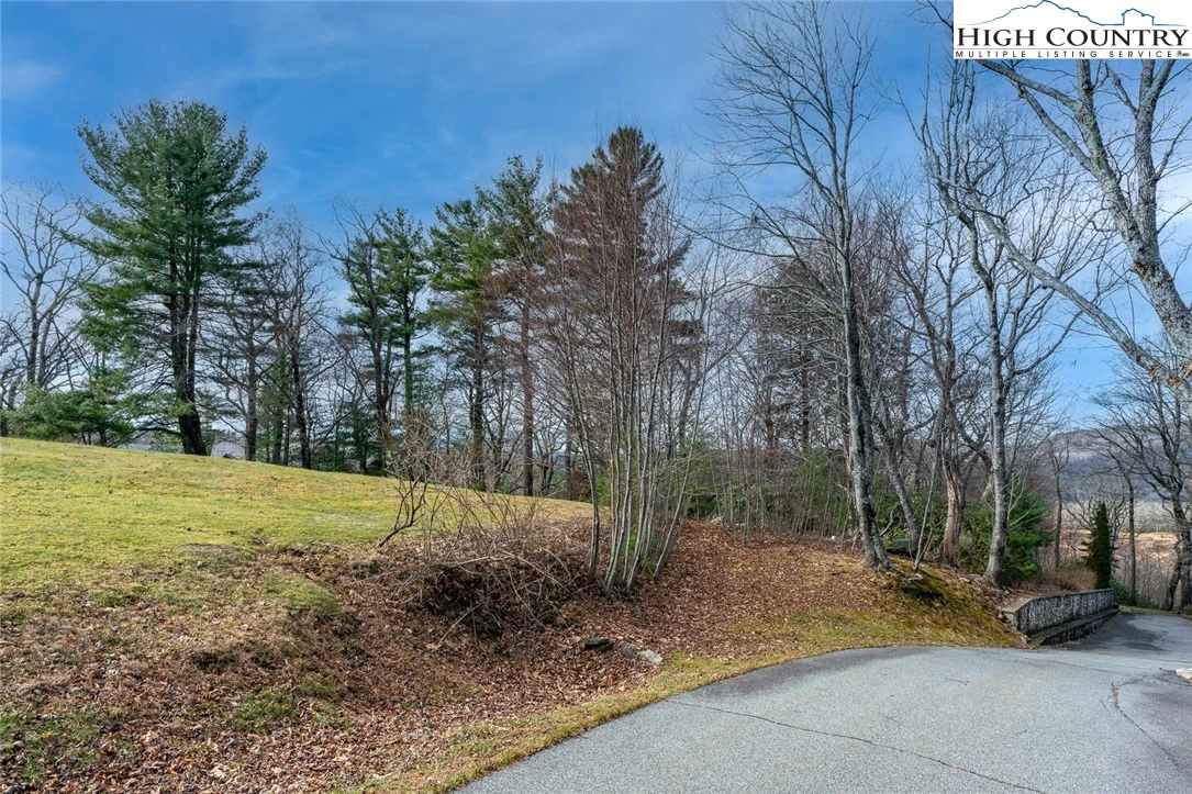 Image number 3 for the current listing