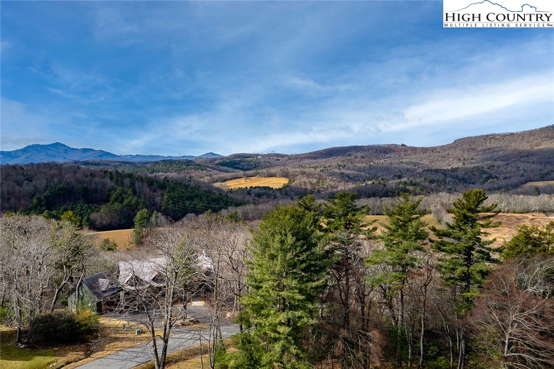 Image number 14 for the current listing