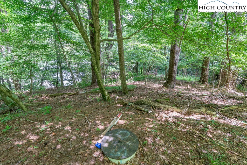 Image number 14 for the current listing