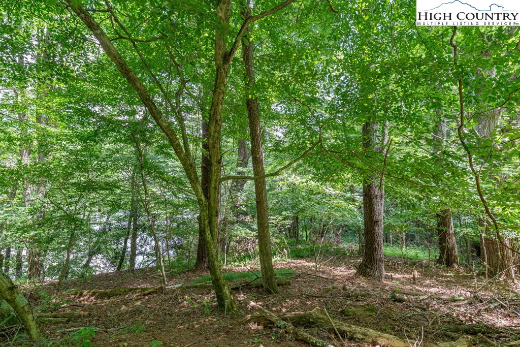 Image number 1 for the current listing