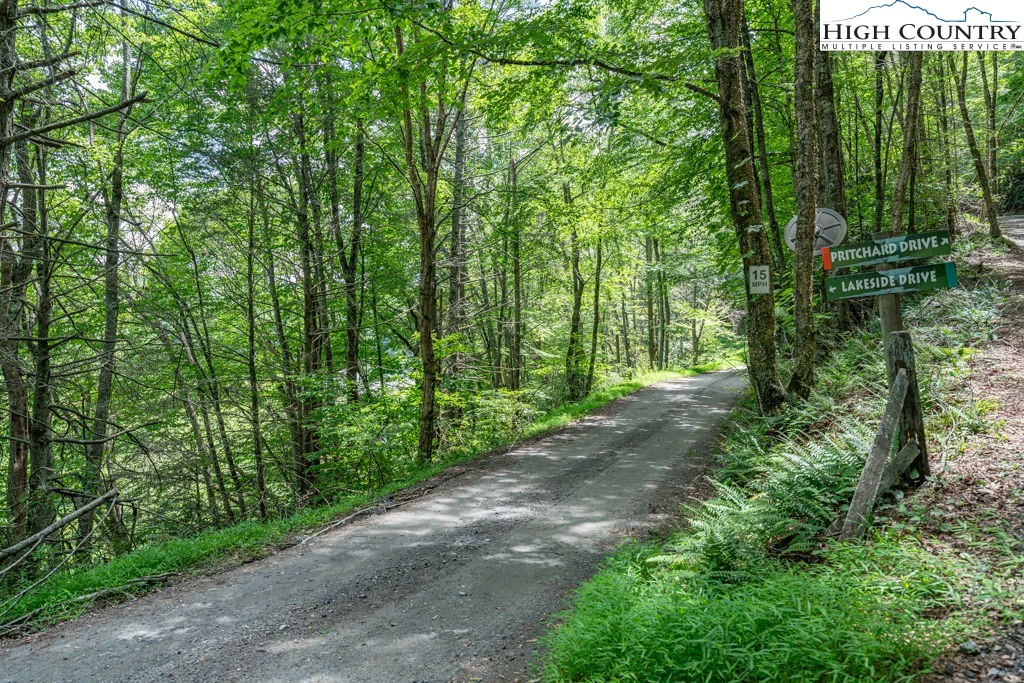 Image number 11 for the current listing