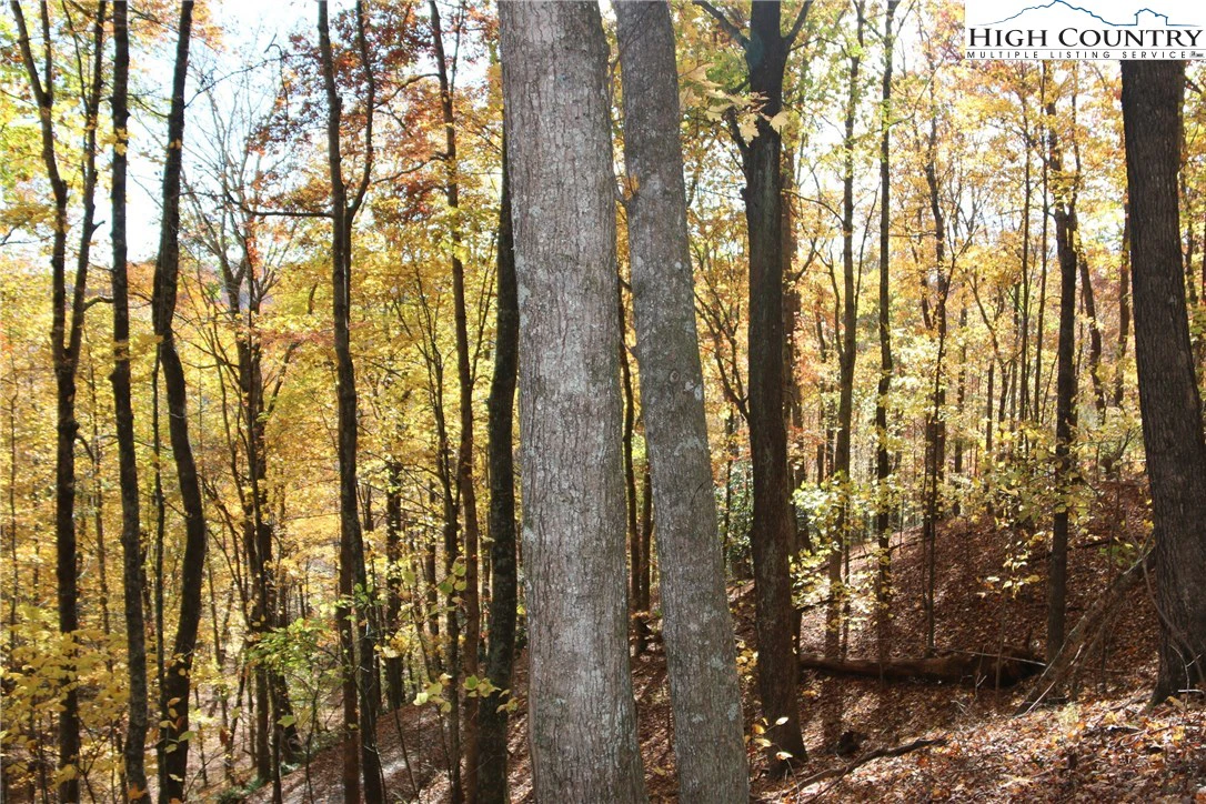 Image number 1 for the current listing