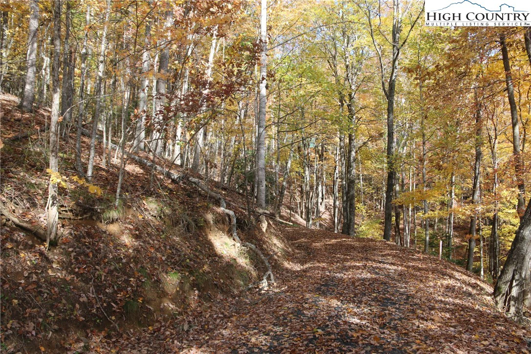 Image number 3 for the current listing