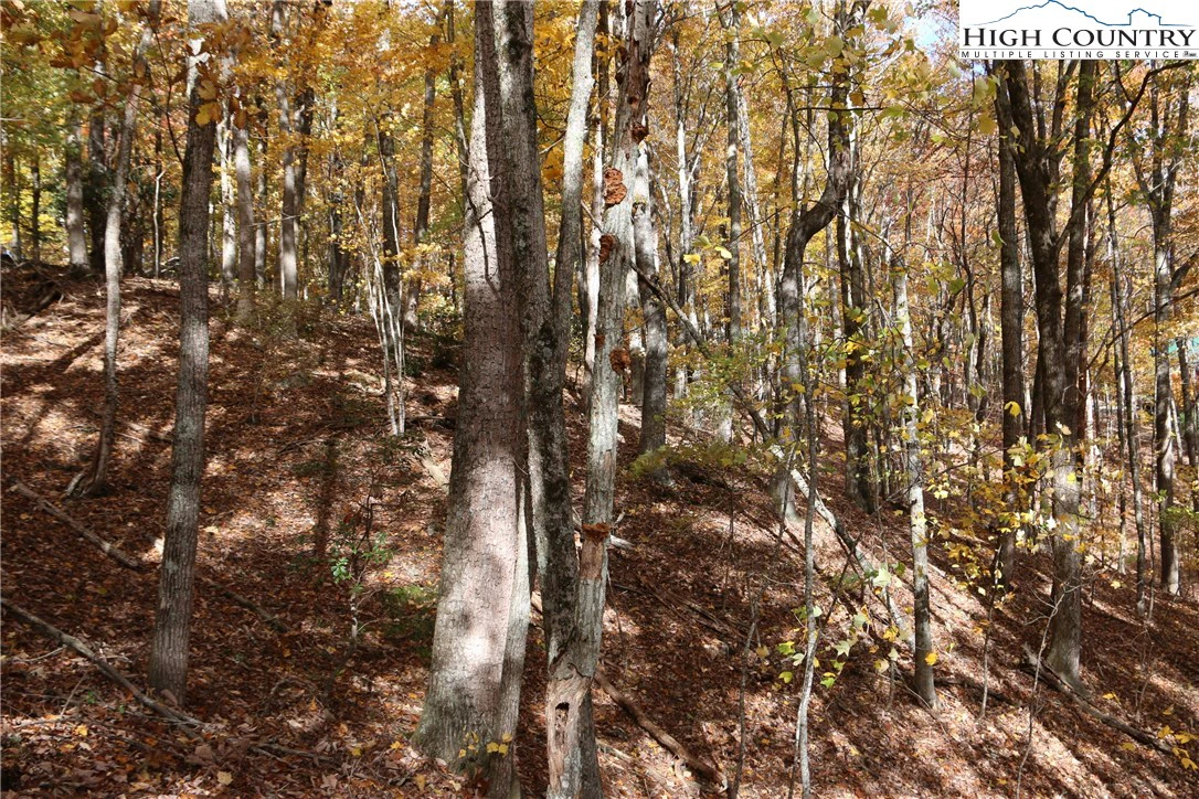 Image number 4 for the current listing