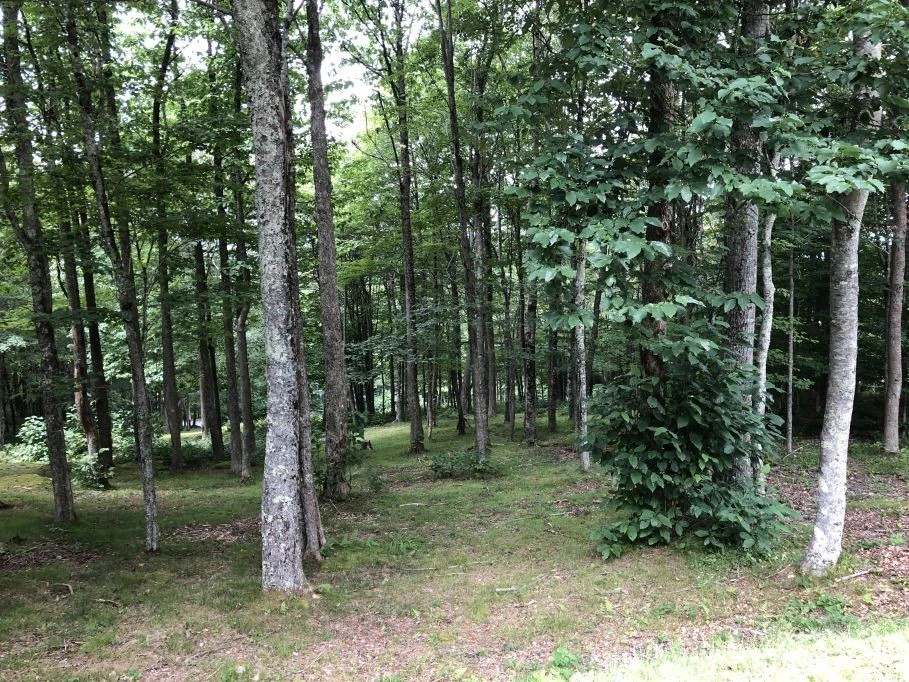 Image number 5 for the current listing