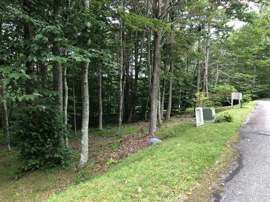 Image number 8 for the current listing
