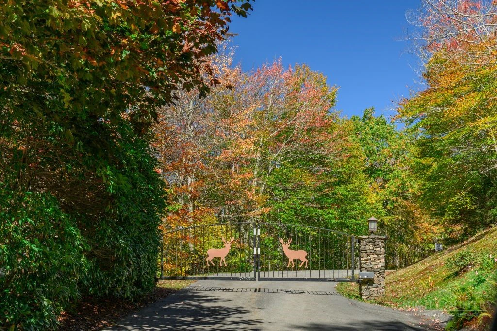 Image number 10 for the current listing