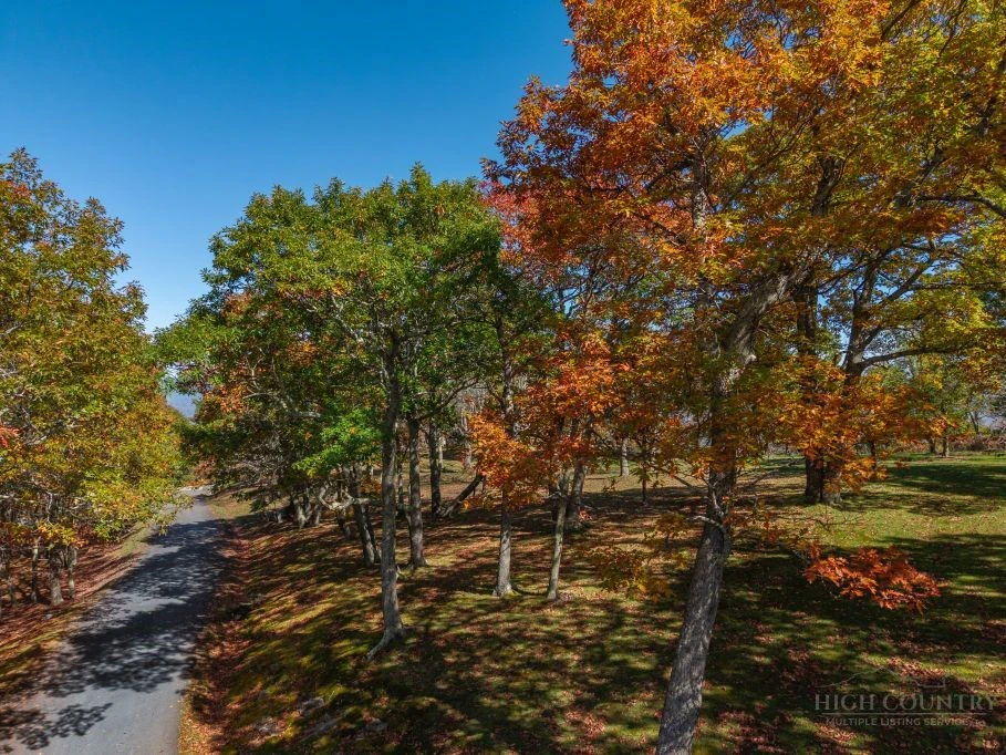 Image number 11 for the current listing