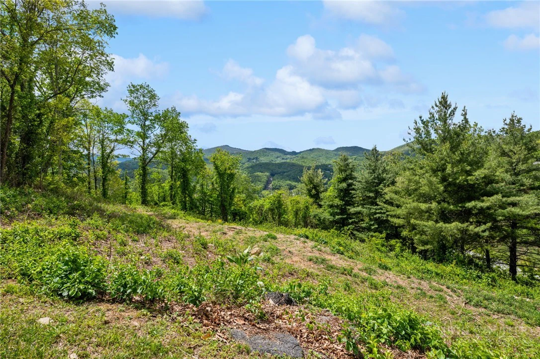 Image number 1 for the current listing