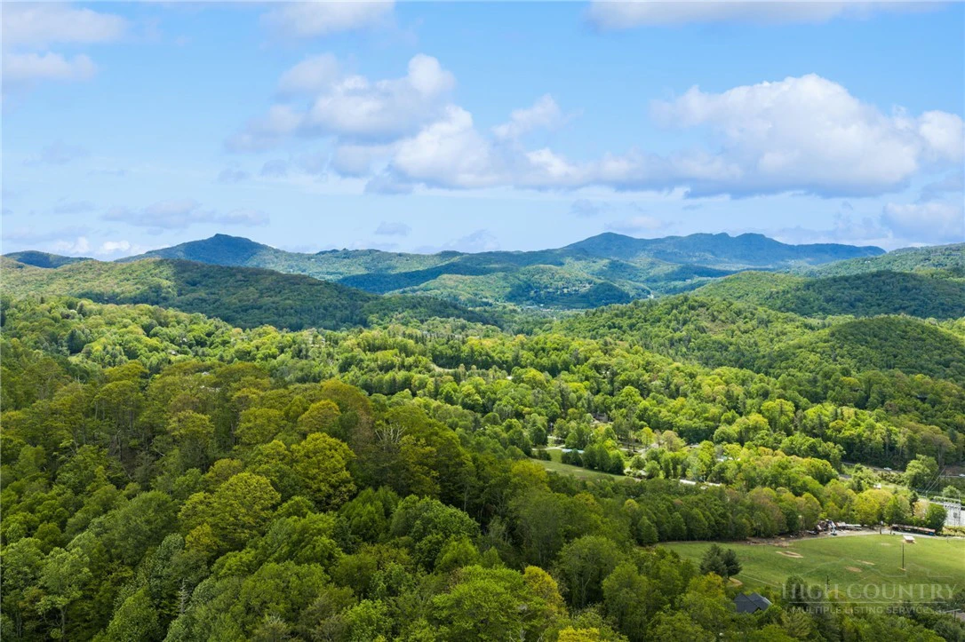 Image number 2 for the current listing