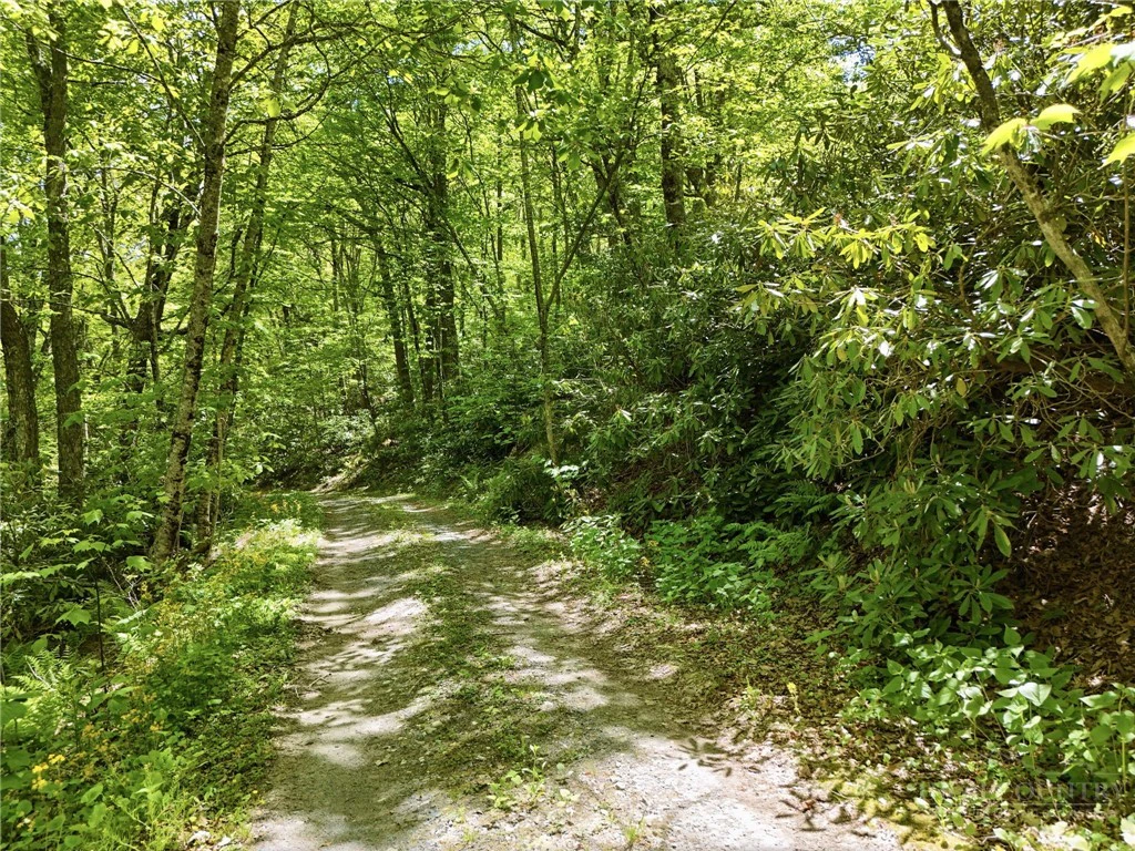 Image number 5 for the current listing