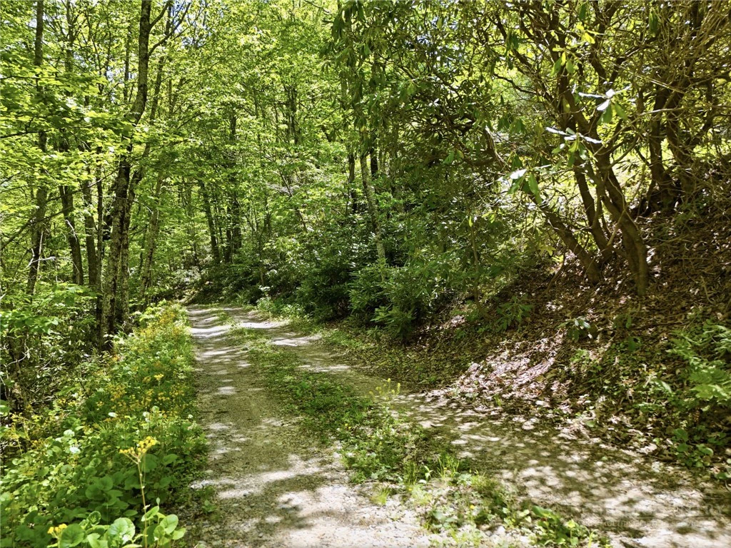Image number 6 for the current listing