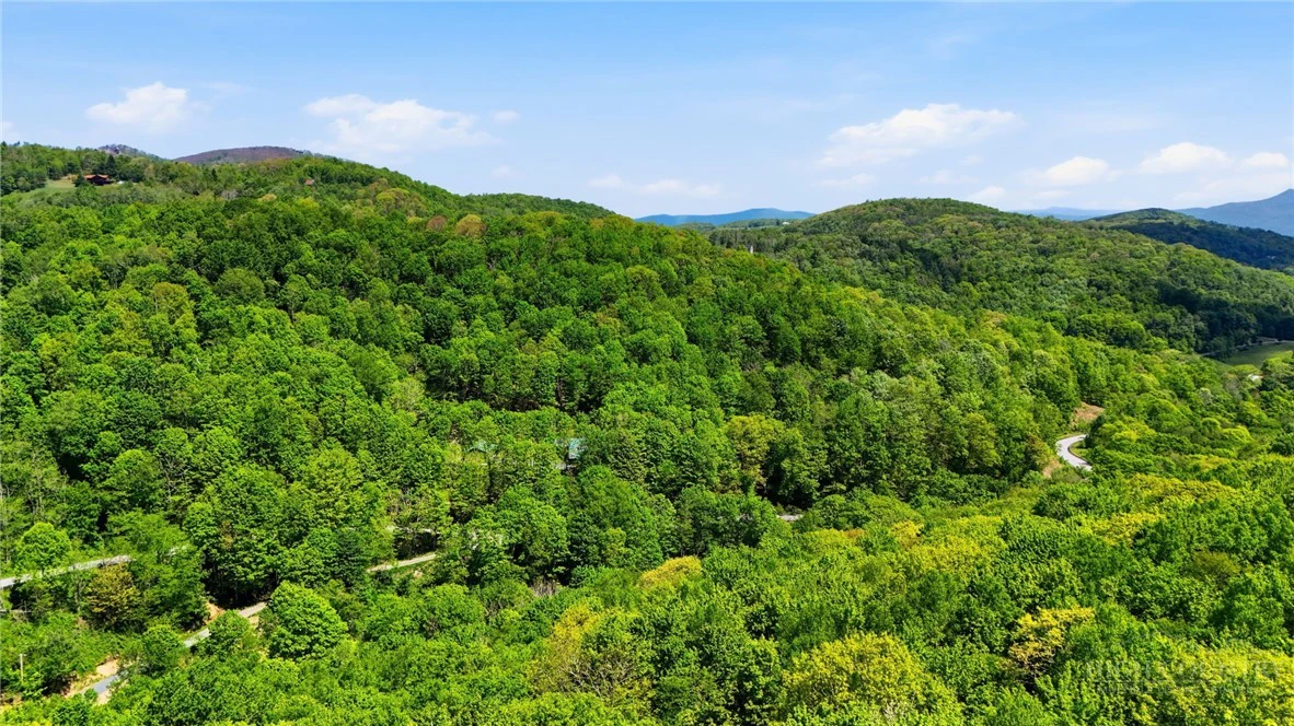 Image number 7 for the current listing