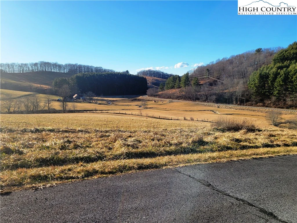Image number 1 for the current listing