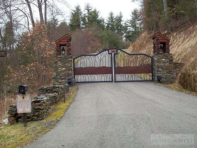 Image number 1 for the current listing