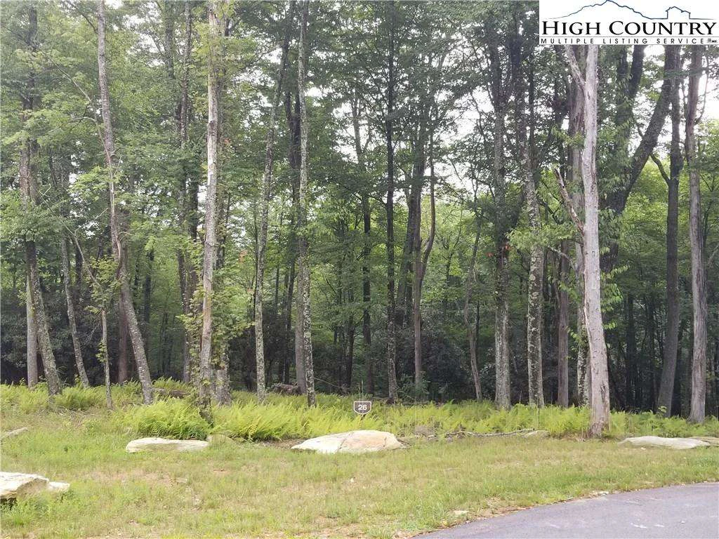 Image number 1 for the current listing