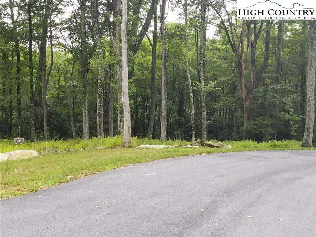 Image number 4 for the current listing