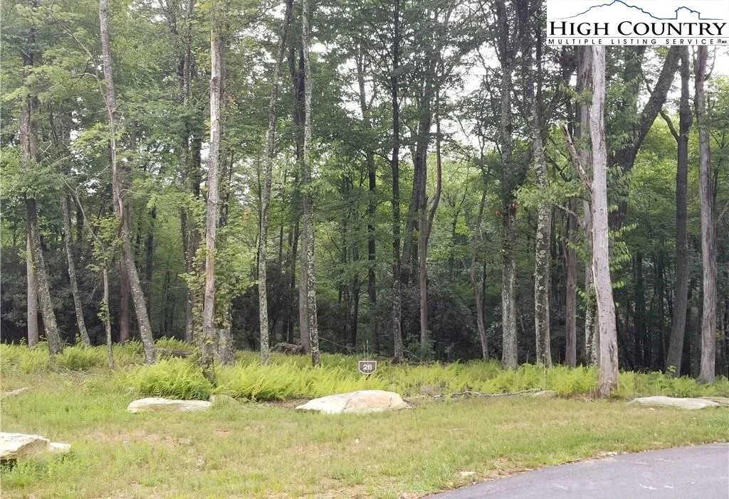 Image number 1 for the current listing