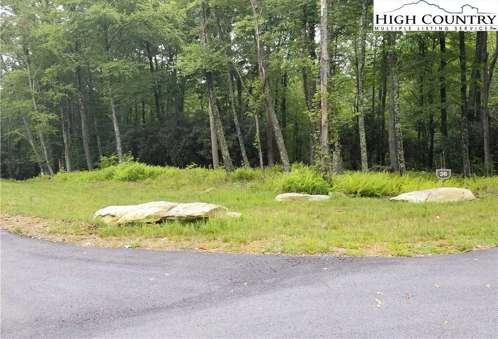 Image number 3 for the current listing