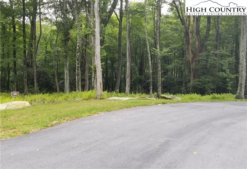 Image number 4 for the current listing