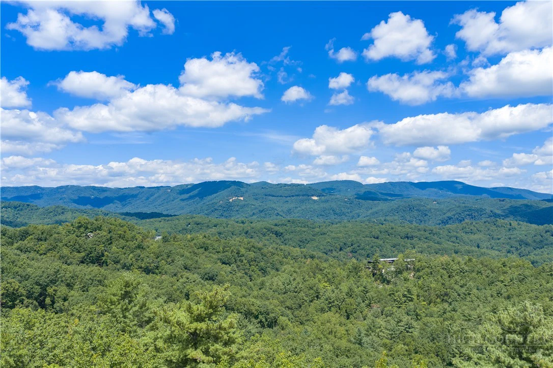 Image number 1 for the current listing
