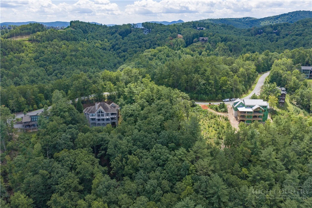 Image number 8 for the current listing