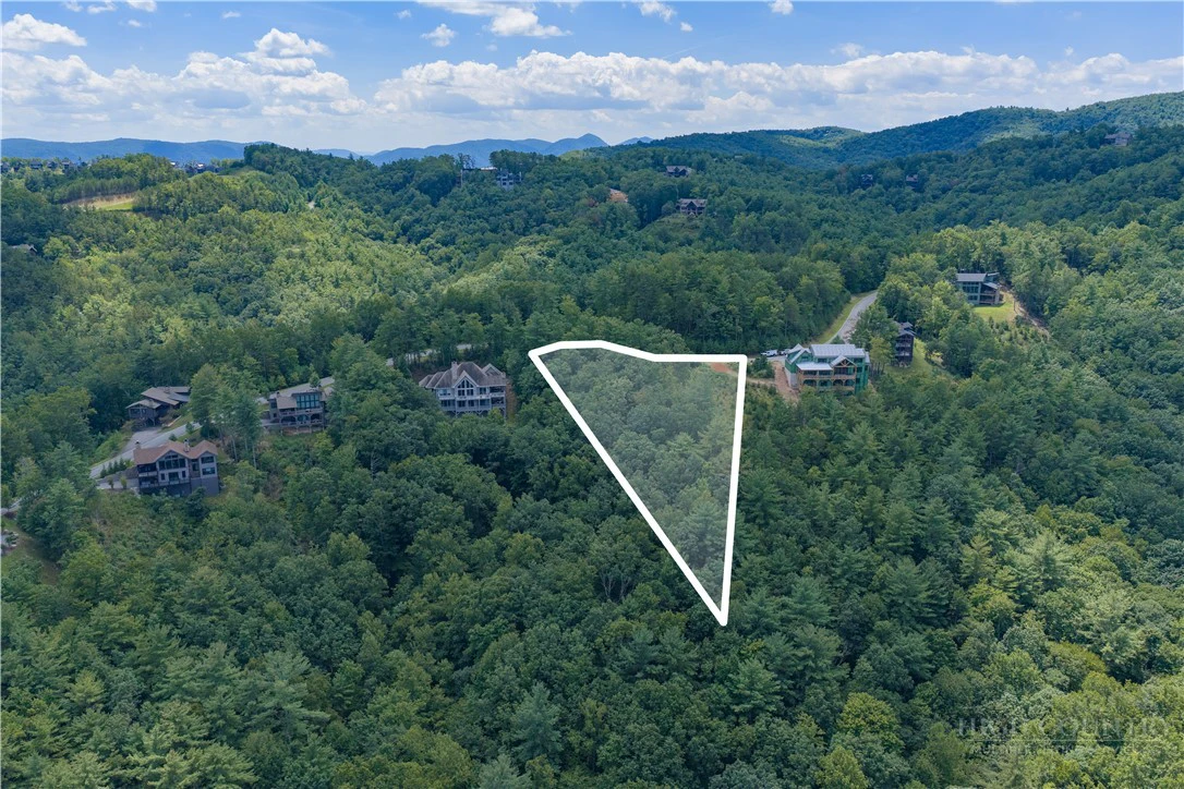 Image number 9 for the current listing
