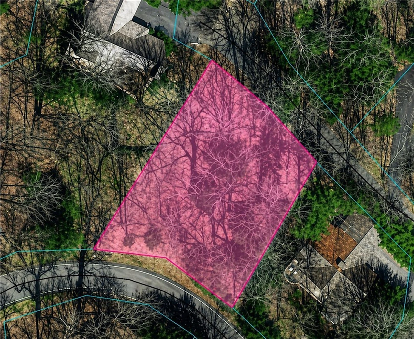 Image number 1 for the current listing