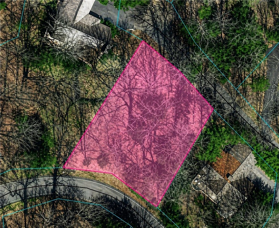 Image number 1 for the current listing
