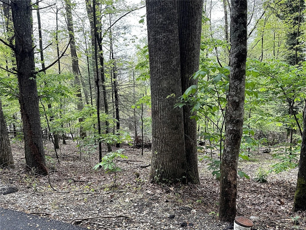 Image number 3 for the current listing