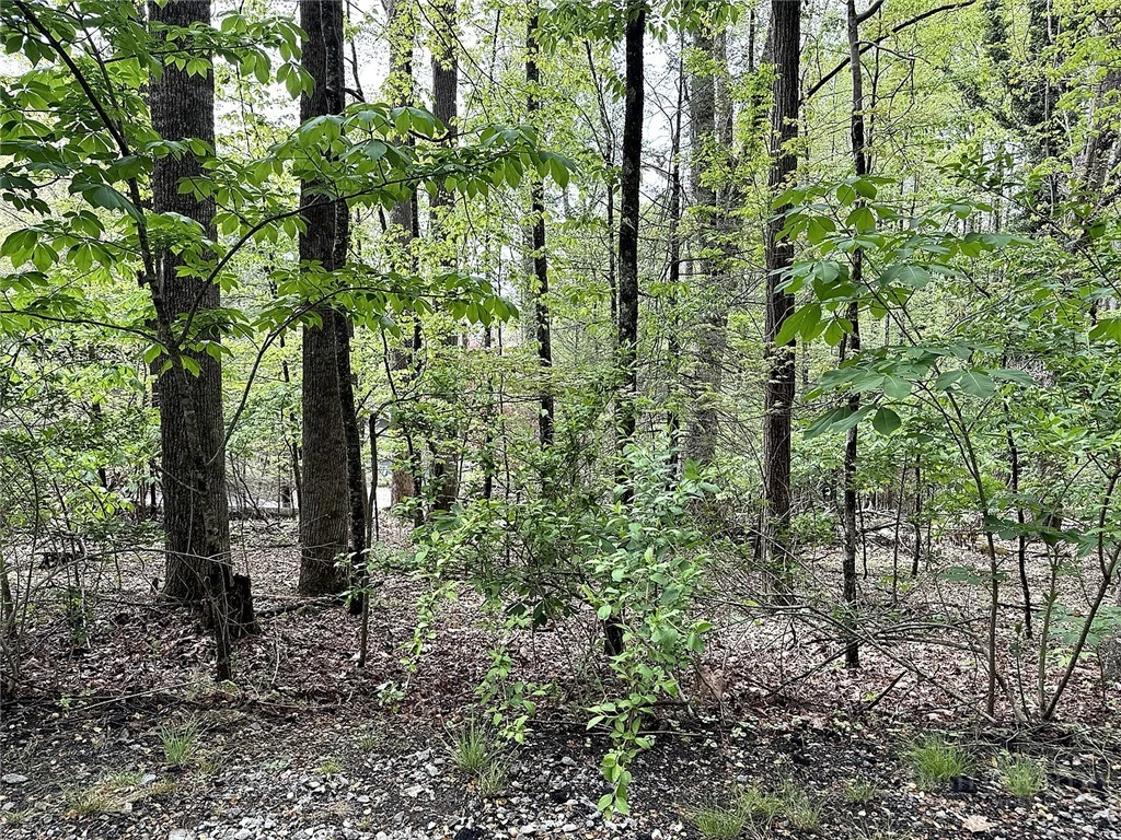 Image number 6 for the current listing