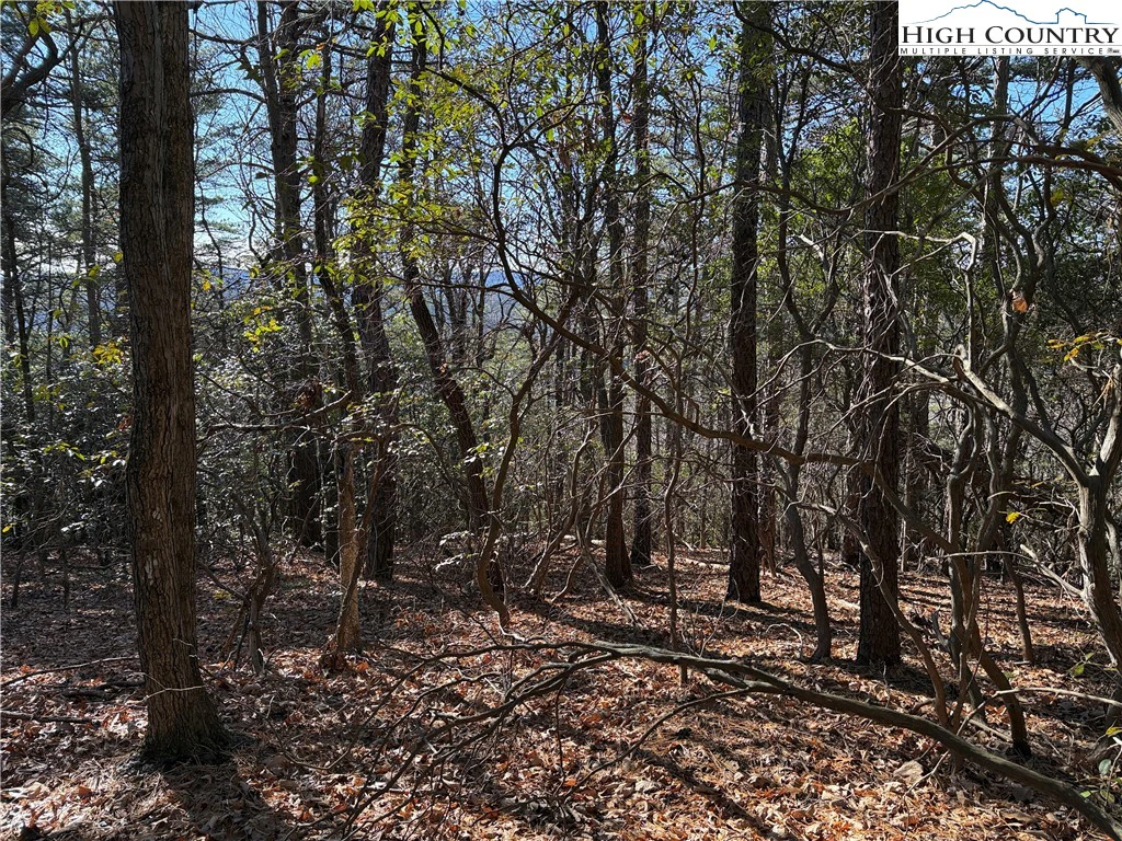 Image number 40 for the current listing