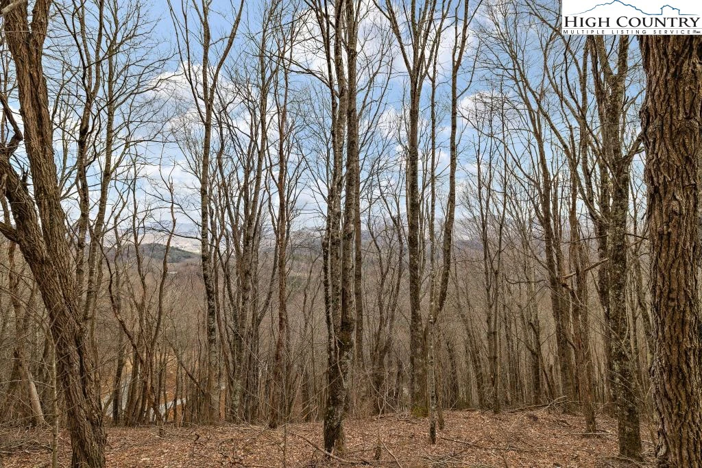 Image number 3 for the current listing