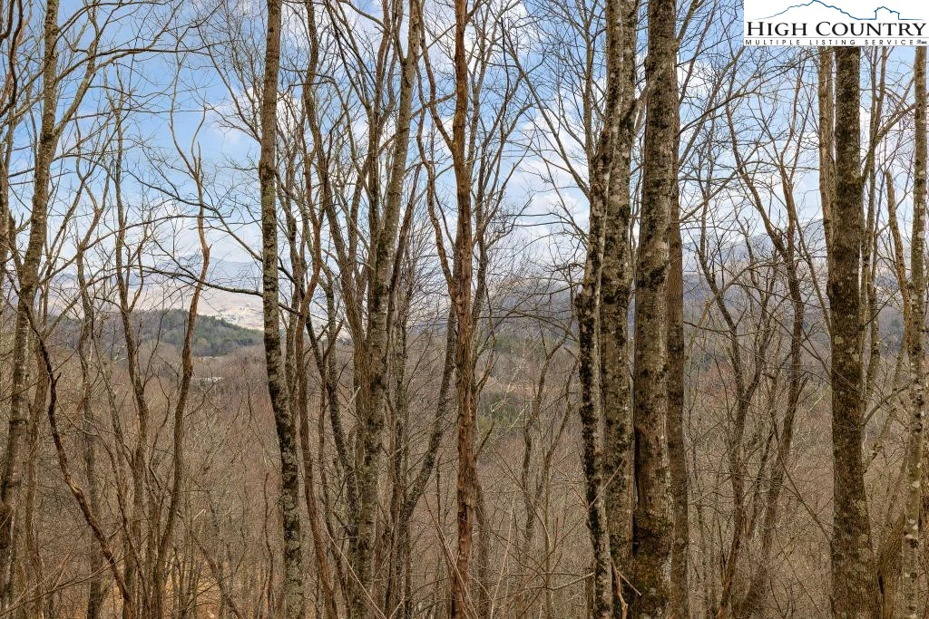 Image number 5 for the current listing
