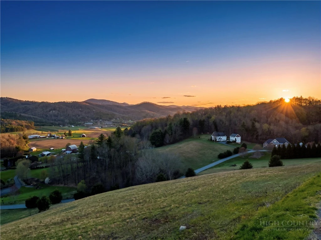 Image number 4 for the current listing