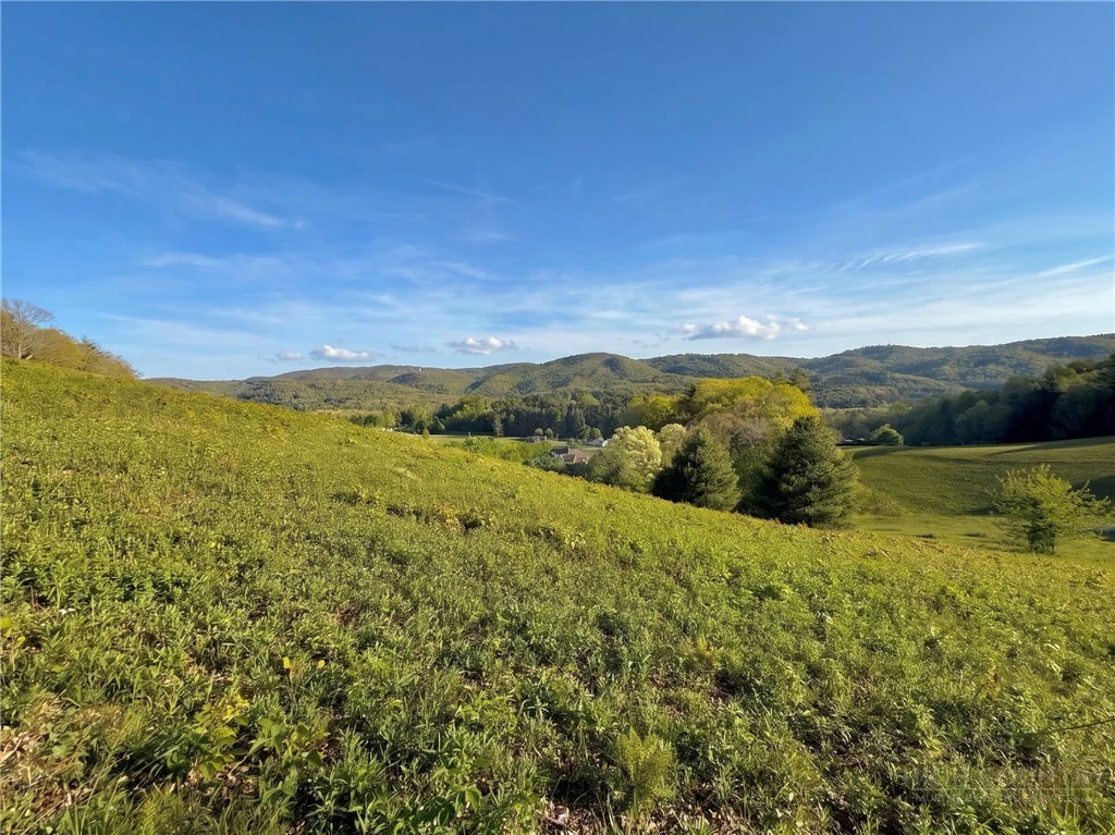 Image number 7 for the current listing
